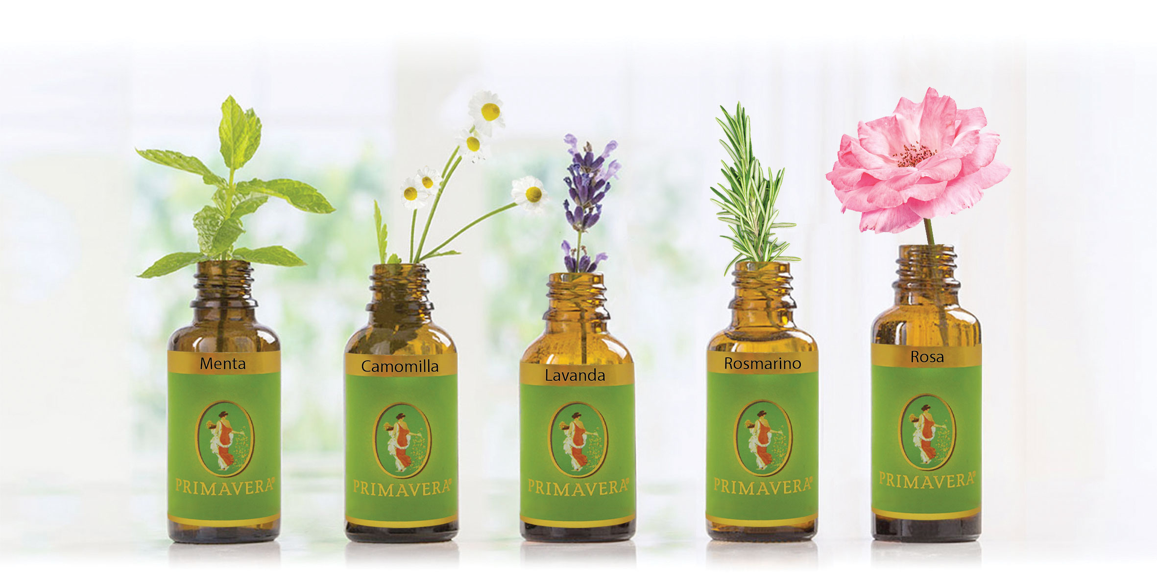 La pulizia naturale in cucina.