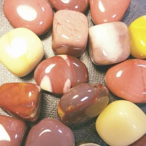 MOOKAITE BURATTATA