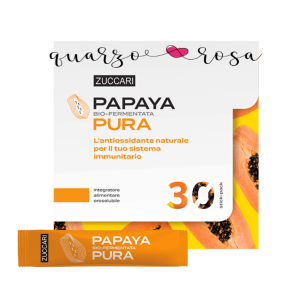 PAPAYA FERMENTATA