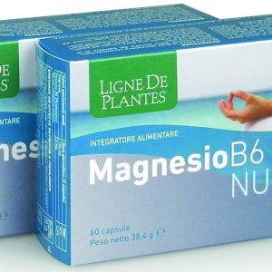 MAGNESIO B6 NUIT