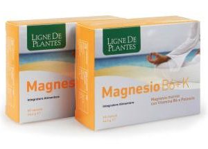 MAGNESIO B6 K
